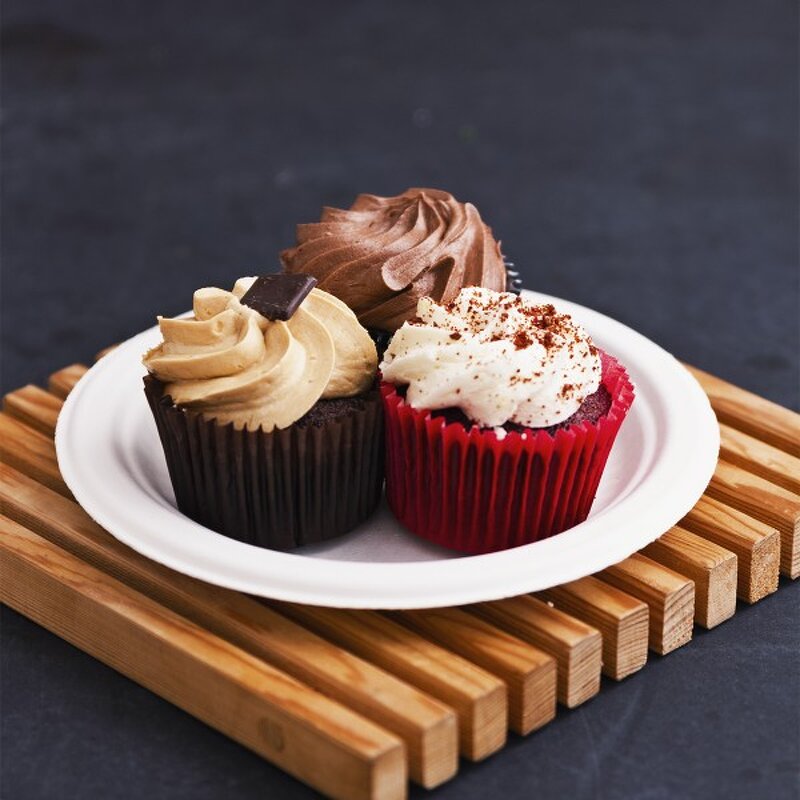 Bagasse Disposable Plates Supplier - High Quality Biodegradable for Parties Camping