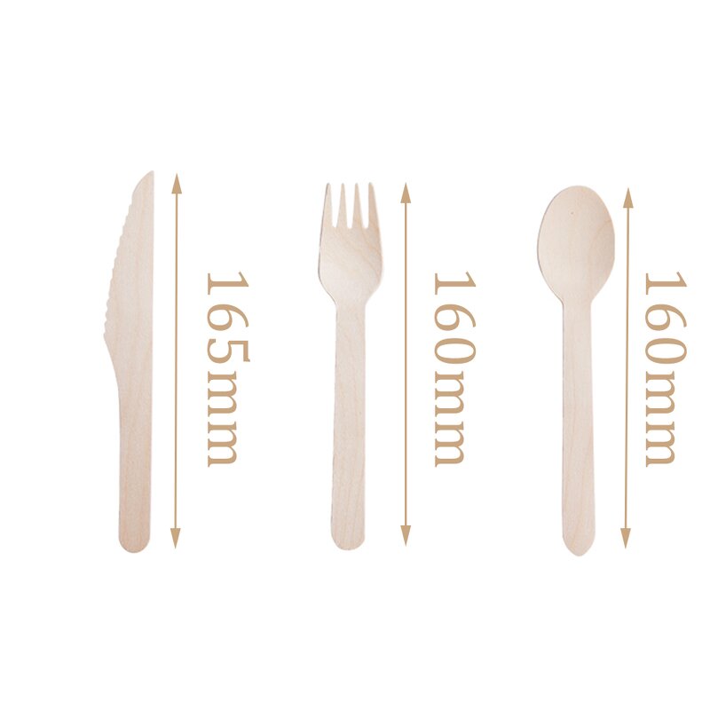 Birch Wood Cutlery Sets Manufacturer - Wholesale Custom 160MM Biodegradable OEM
