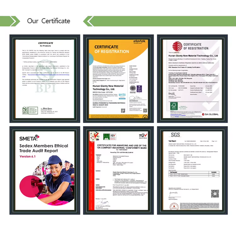 Biodegradable Dog Waste Bags Factory - Plastic Outdoor Leak-Proof Tear-Resistant Roll