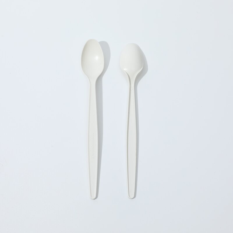 Biodegradable Plastic Ladle Spoon Supplier - Wholesale Disposable for Takeaway Camping