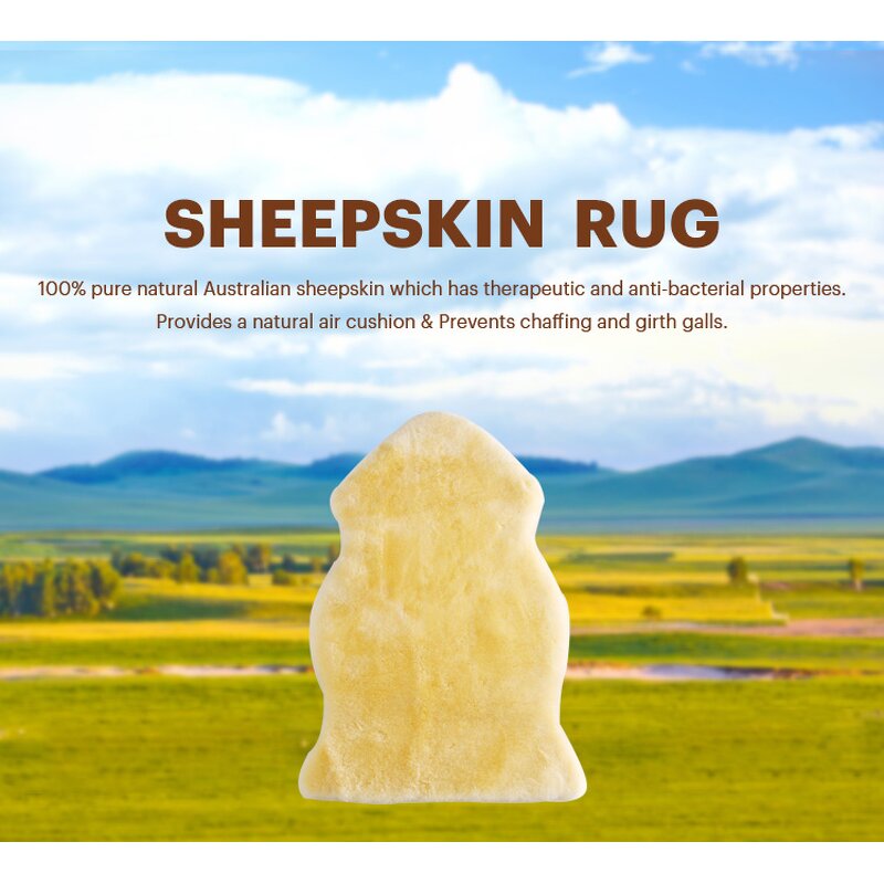 Lambskin Rug Factory - Real Sheepskin Soft Thick Fur Decorative