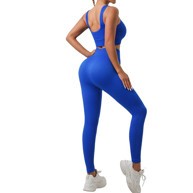 Fitness Suit Manufacturer - OEM Customizable Seamless Bra Hip-Lifting