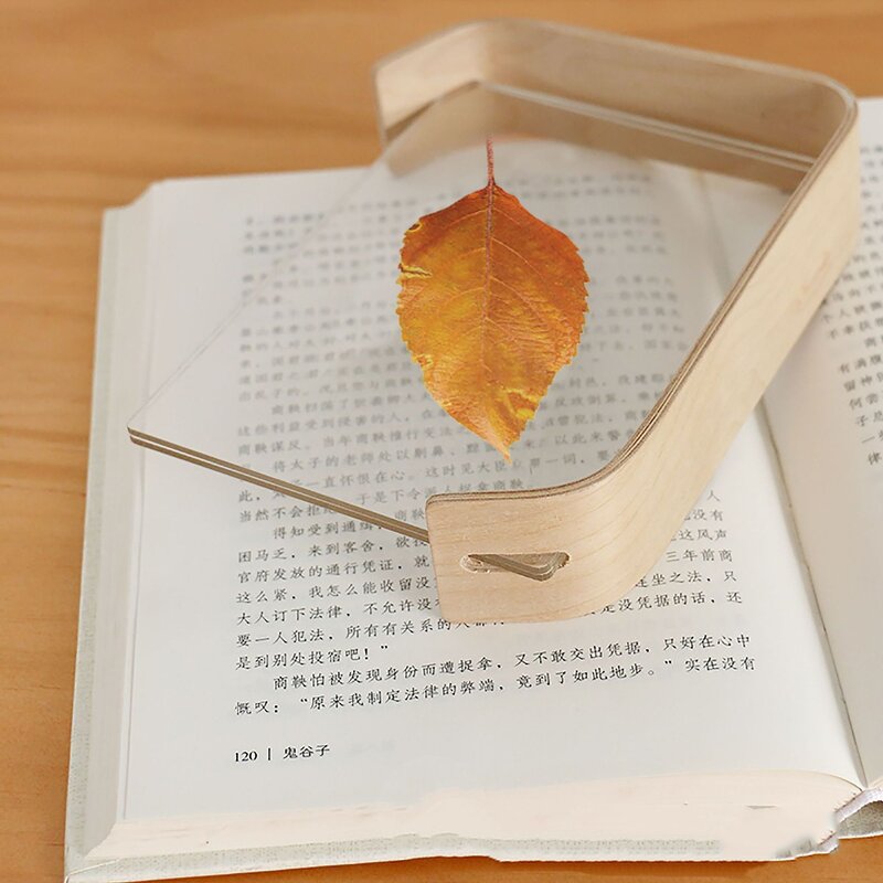 Photo Frame Manufacturer - OEM Custom Wooden Base with Acrylic Dried Flowers