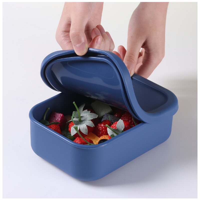 Lunch Box Set Manufacturer - Wholesale Factory BPA FREE 4 Pack Airtight