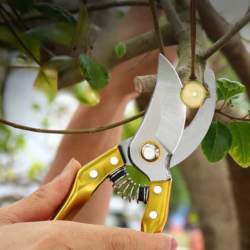 Pruning Shears Factory - Portable Multifunctional Stainless Steel