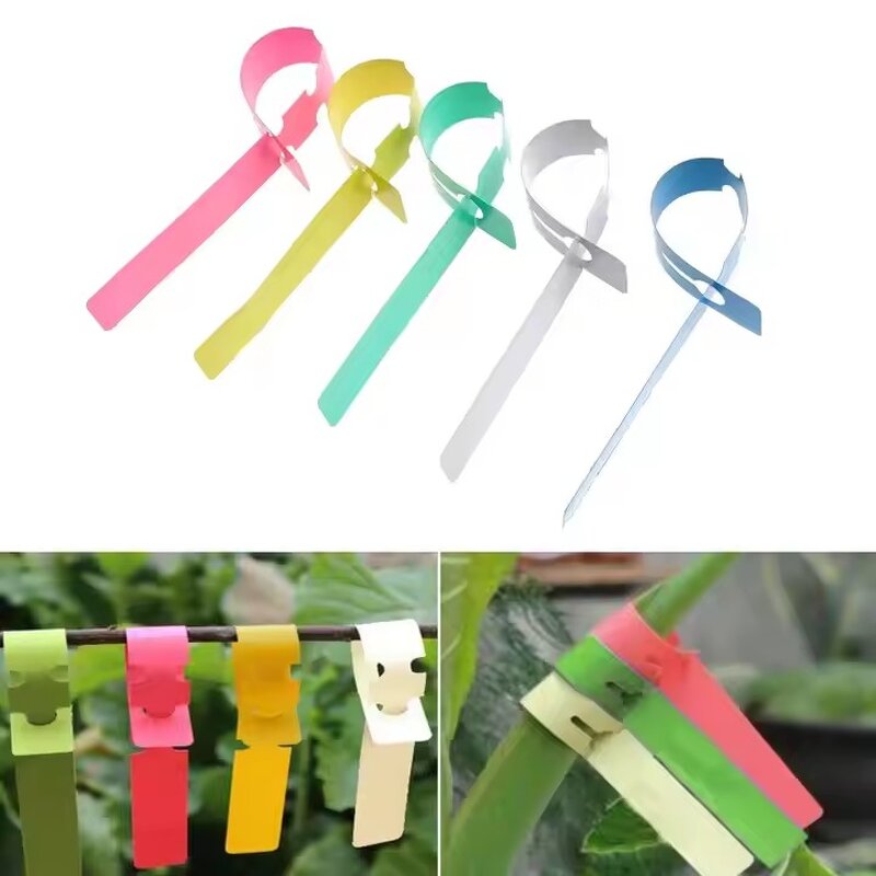Plant Tags Factory - 100 Pcs 5-Color Hanging Tree Markers
