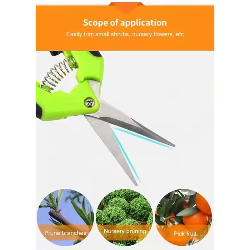 Stainless Steel Shears Supplier - Straight Elbow for Plants Fruits