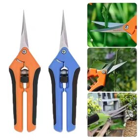 Stainless Steel Shears Supplier - Straight Elbow for Plants Fruits