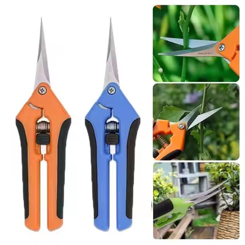 Stainless Steel Shears Supplier - Straight Elbow for Plants Fruits