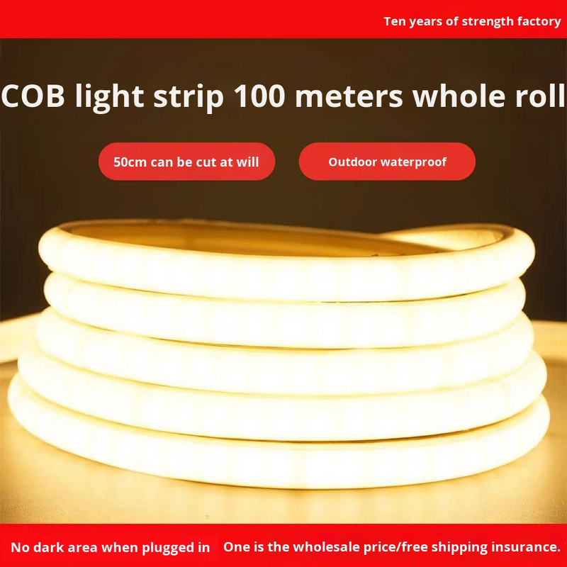 COB Light Strip Supplier - 6000K Daylight 220V Silicone IP65