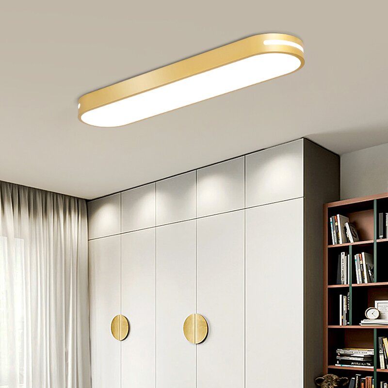 Elliptical Ceiling Light Factory - Modern LED Remote Control Iron
