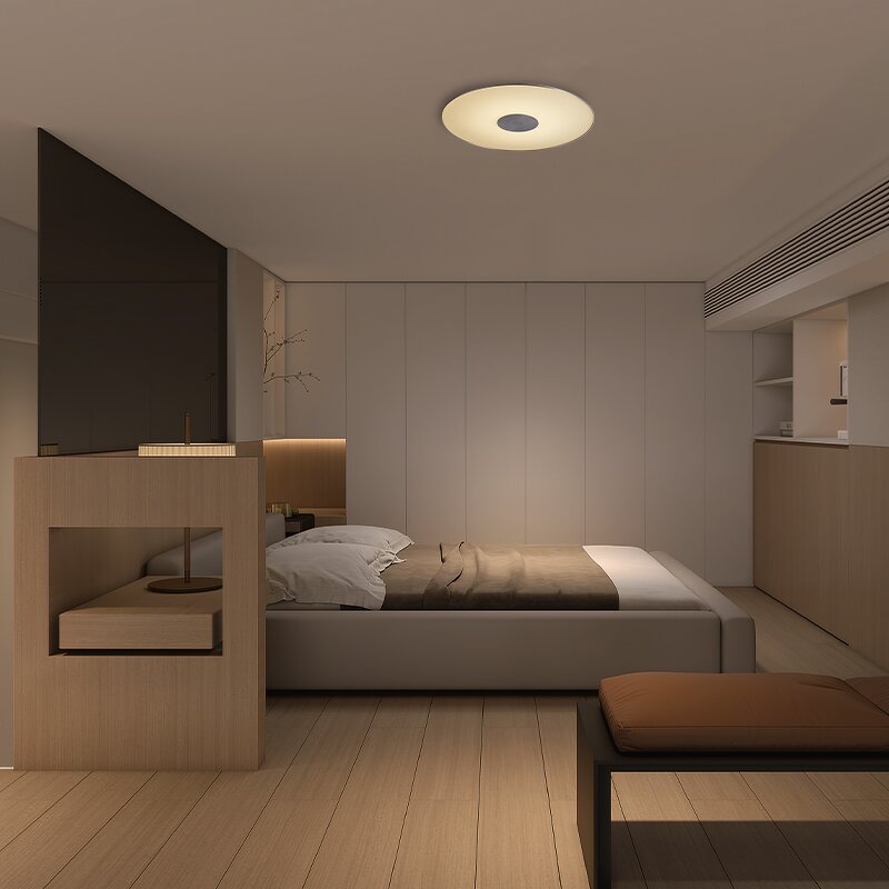 Mini Ceiling Lamp Supplier - 2024 Modern Stylish Mounted Glass