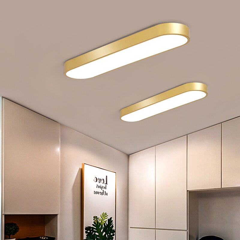 Elliptical Ceiling Light Factory - Modern LED Remote Control Iron