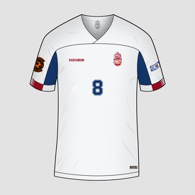 Player Version Soccer Jersey Manufacturer - OEM Professional HOSTARON