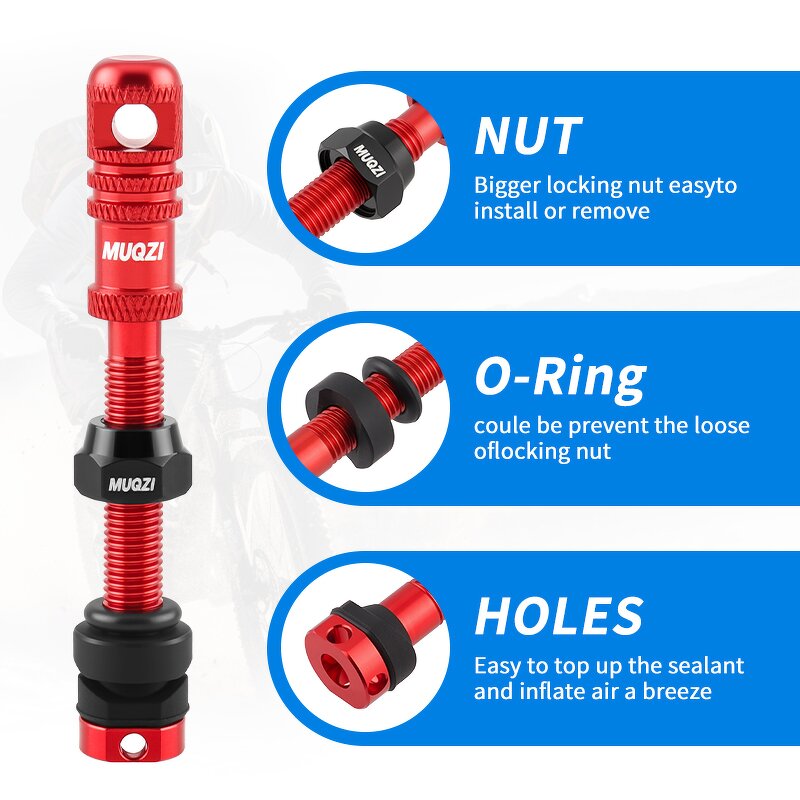 Bike Valve Stem Factory - Custom Presta Tubeless Valve