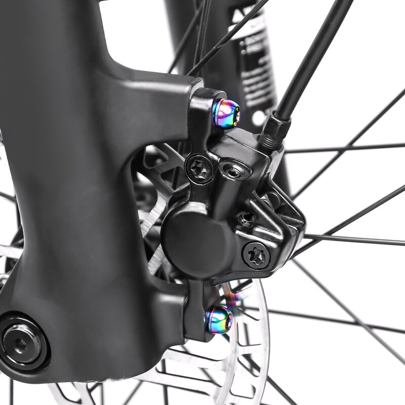 Bike Stem Screw Manufacturer - OEM Brake Caliper Bolt