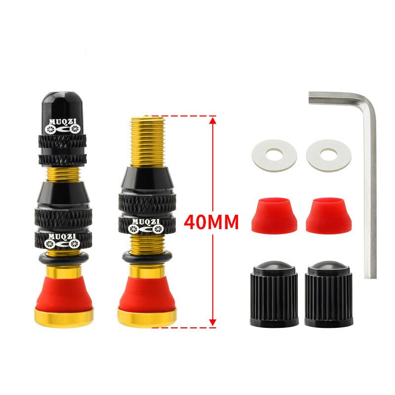 Bike Valve Stem Factory - OEM Schrader Tubeless Valve