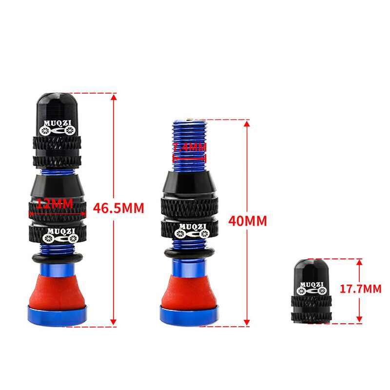 Bike Valve Stem Supplier - Custom Schrader Tubeless Valve