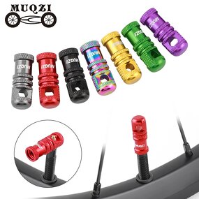 Bike Valve Cap Manufacturer - OEM Valve Core Tool Cap