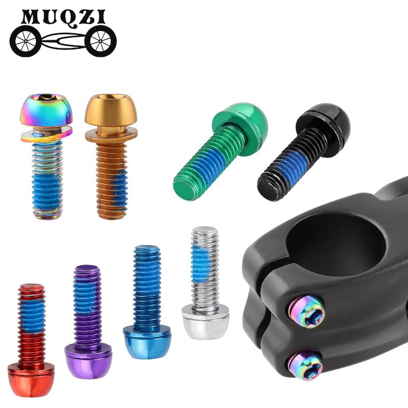 Bike Screw Factory - OEM Disc Brake Caliper Screw