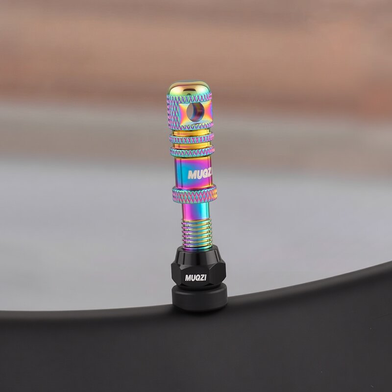 Bike Valve Stem Factory - Custom Presta Tubeless Valve