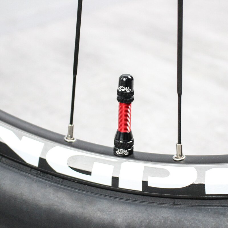 Bike Valve Stem Factory - OEM Schrader Tubeless Valve