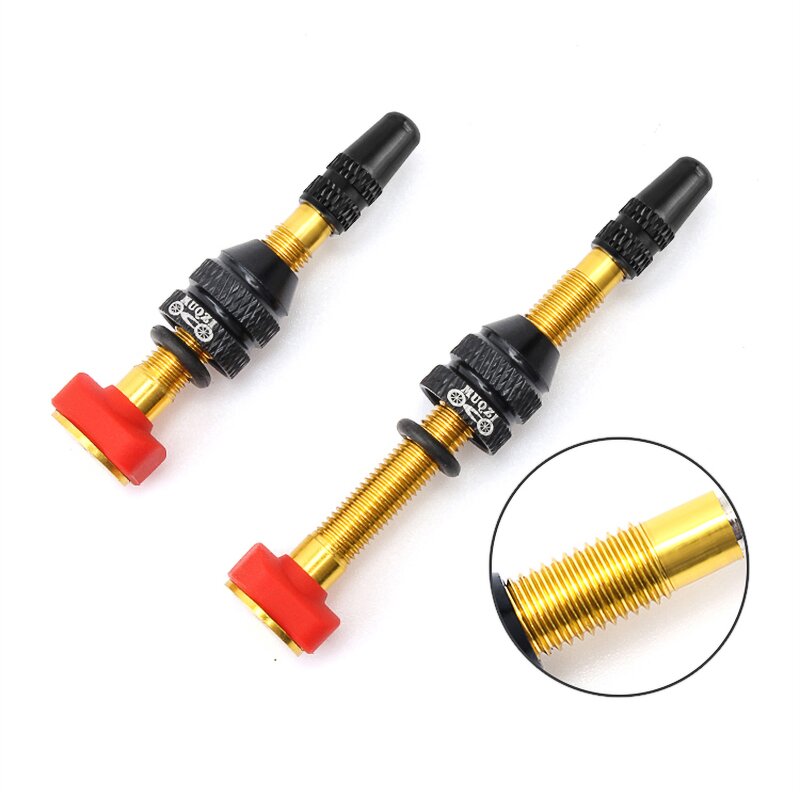 Bike Valve Stem Manufacturer - OEM Custom Presta Stem