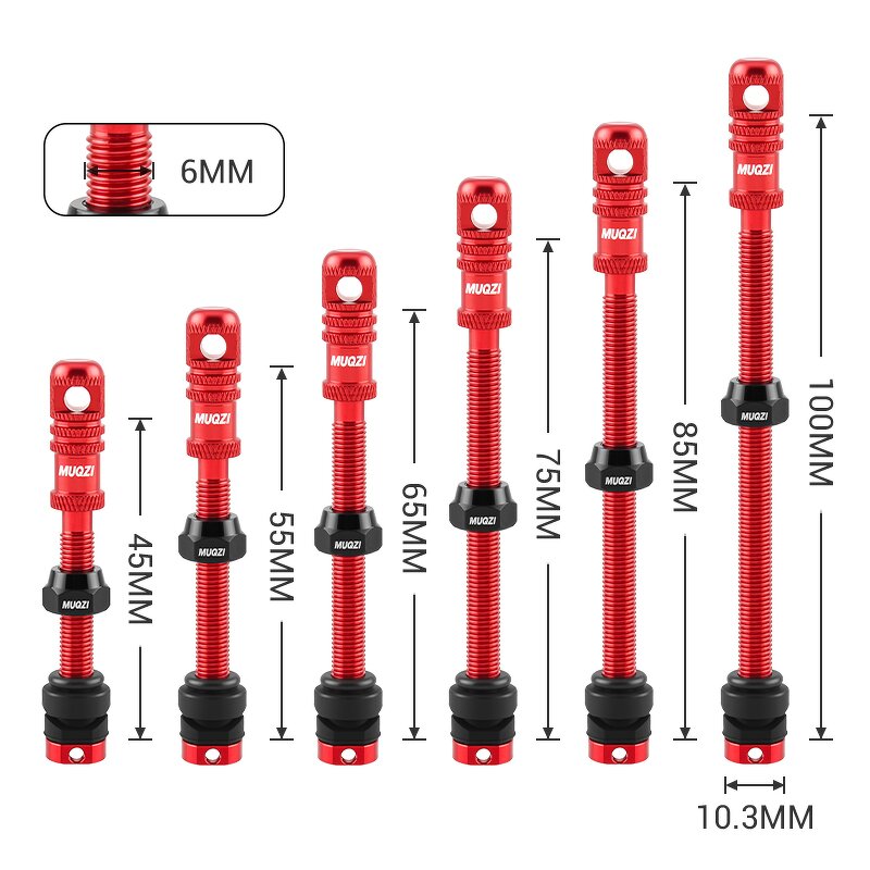 Bike Valve Stem Factory - Custom Presta Tubeless Valve