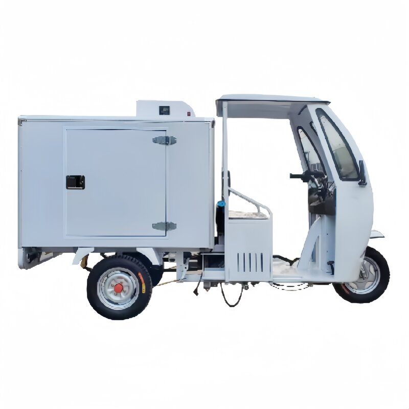 Portable Refrigerator Factory - OEM/ODM Custom Compact Mobile Cool Box for Preservation