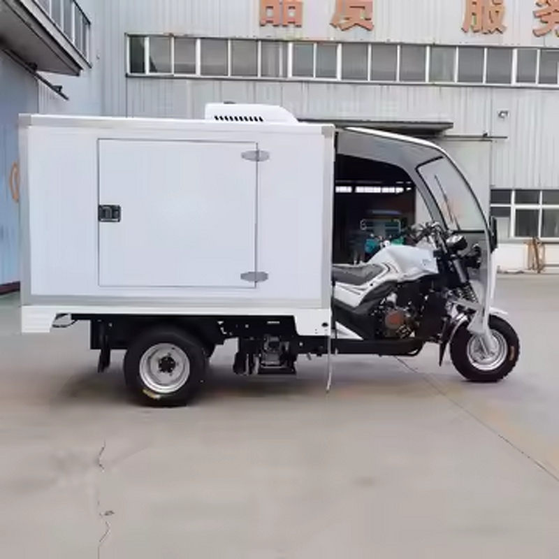 Mobile Refrigerator Factory - OEM/ODM Custom Tricycle Cold Chain Delivery for Ice Cream