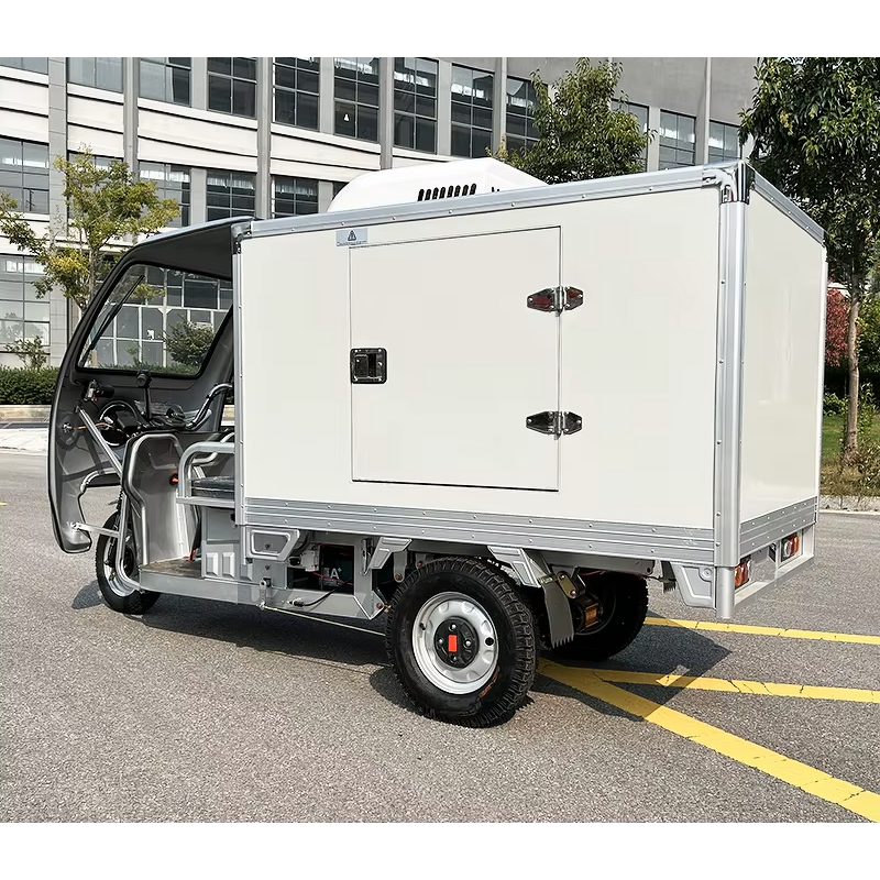 Mobile Refrigerator Factory - OEM/ODM Custom Tricycle Cold Chain Delivery for Ice Cream