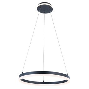 Black Circle Pendant Light Manufacturer - OEM Factory Supply Home Nordic Lighting