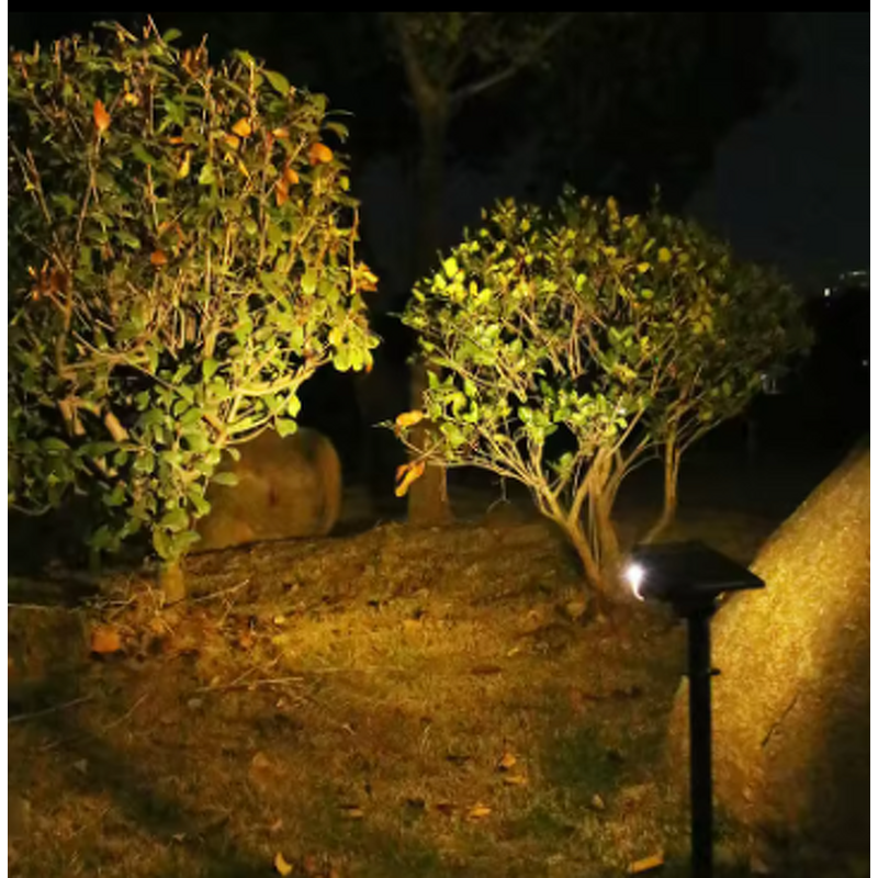 Solar Garden Light Factory - OEM Modern Camping Waterproof RGB Planting