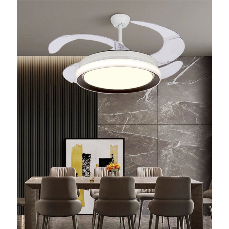 Ceiling Fan Manufacturer - OEM Best Price E26 Modern Remote Control Light