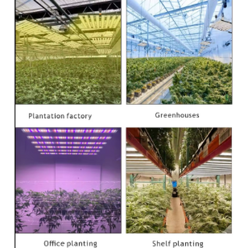 Strip Grow Light Factory - OEM Dimmable Full Spectrum Plant Growth Lamp