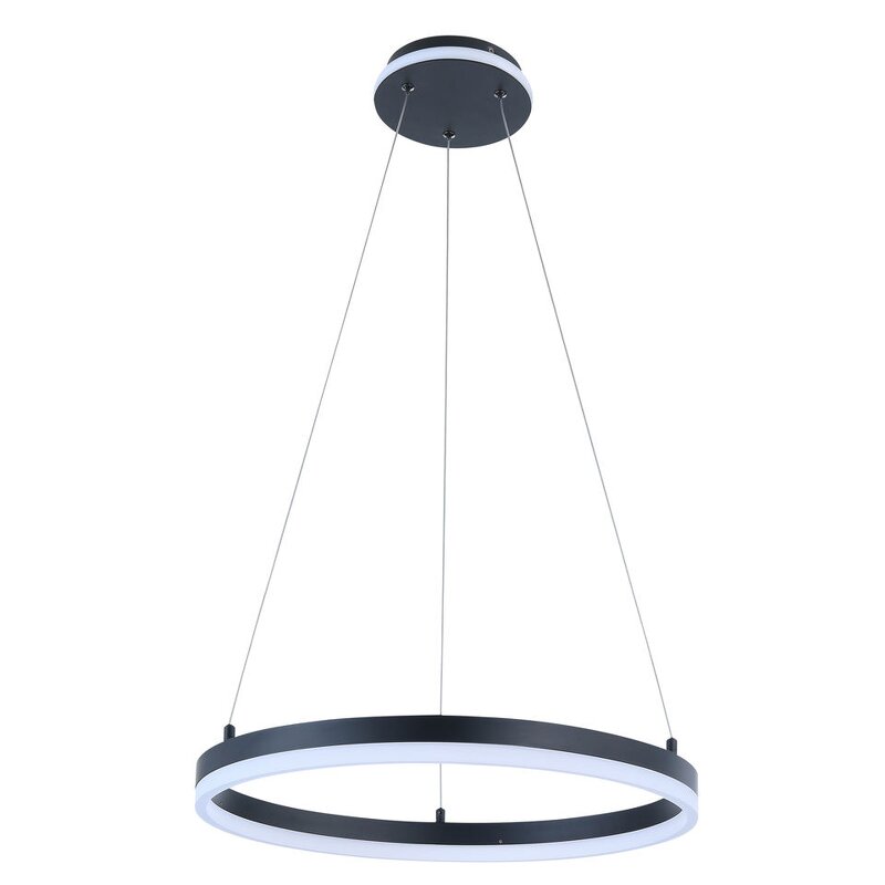Black Circle Pendant Light Manufacturer - OEM Factory Supply Home Nordic Lighting