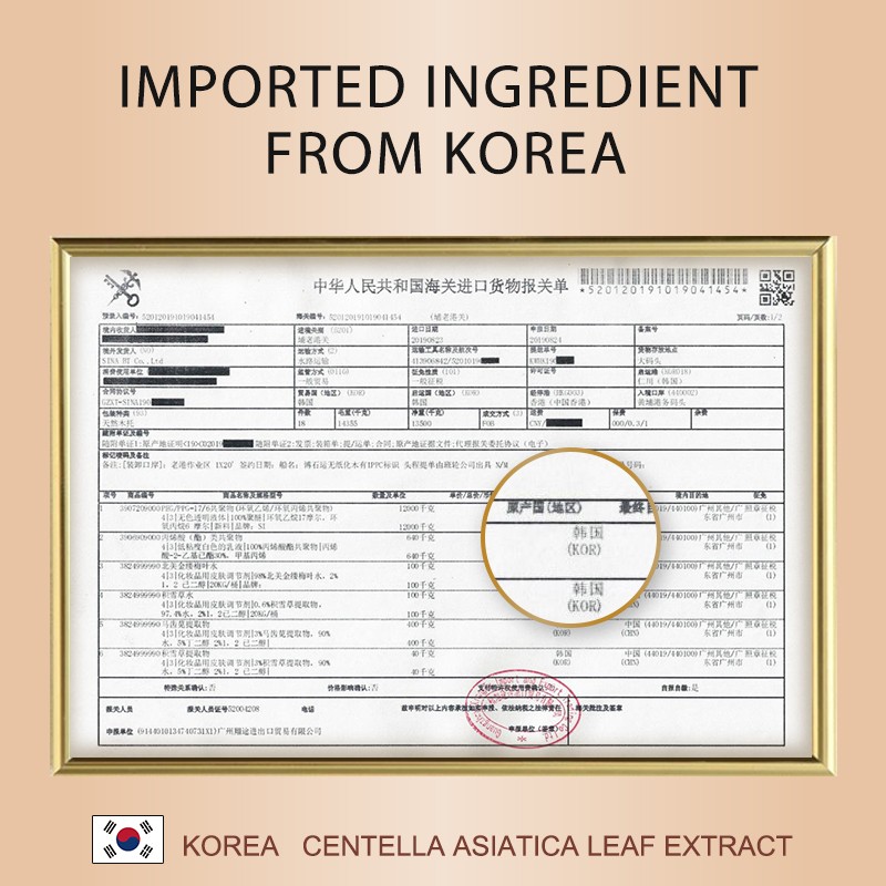 Hair Care 500ml Organic Anti Hair Loss Plant Extract Professional Hair Growth Fluffy Refresh Repair Shampoo