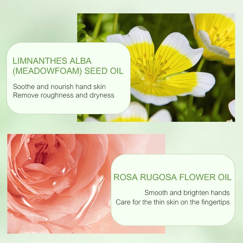 Skincare Supplier Nourishing Moisturizing Whitening Anti-aging 300g Hand Moisturizer Cream