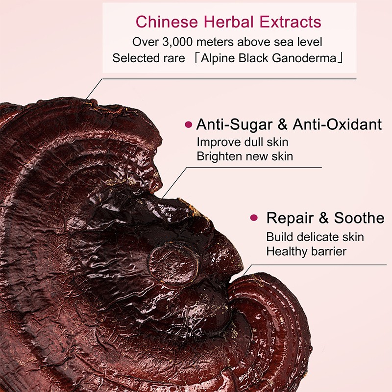 Skincare Manufacturer Face Care Supplier Toner Moisturizer Hyaluronic Acid Repairing Rejuvenate Anti-aging Skin Care Set