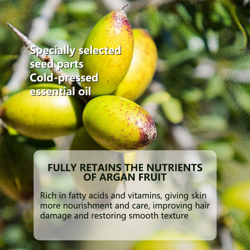 AESTHTANY Moroccan Argan Oil Shampoo Conditioner Hair Oil Repair Mask Hair Care Travel Set