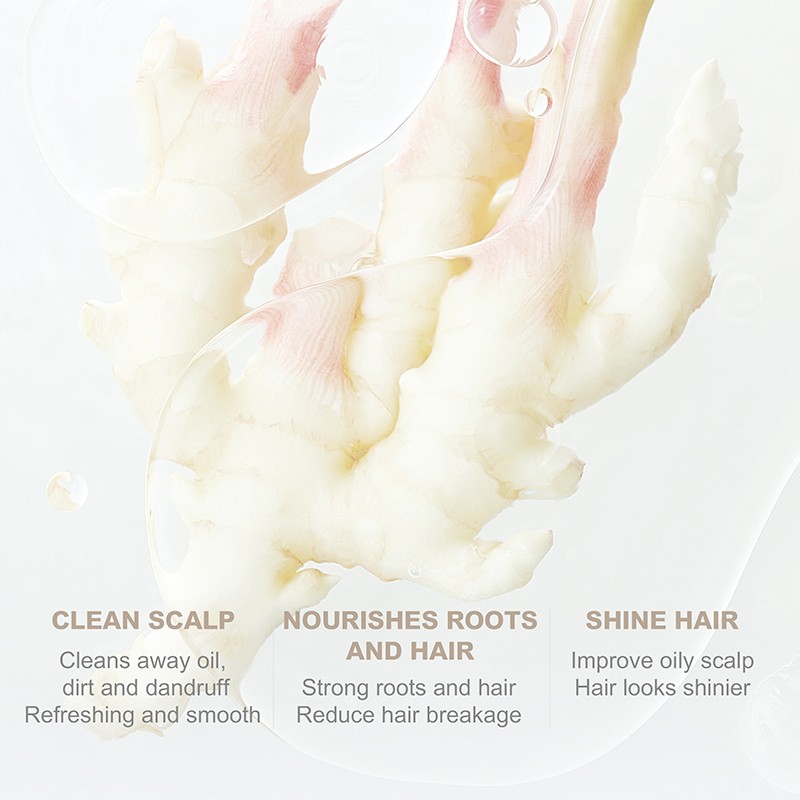 OKADY 500ml Ginger Arborvitae Leaf Brightening Oil-control Hair-Loss Prevention Hair-Repairing Shampoo