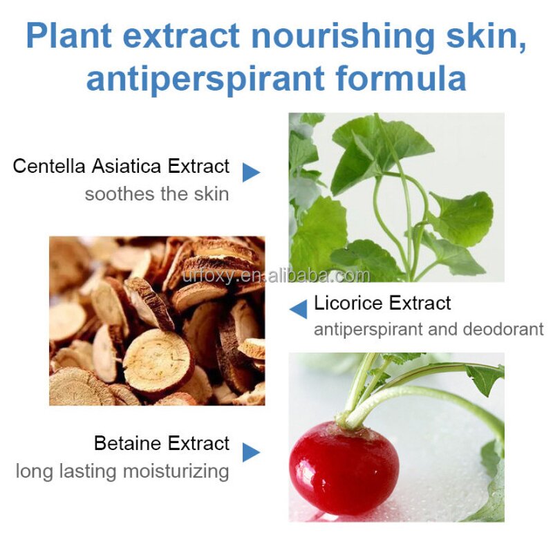 Deodorant Factory - Factory Price Private Label 30ml 3 Flavors Liquid