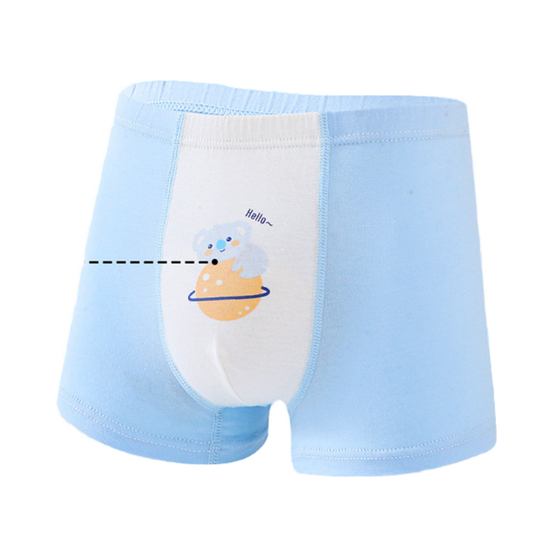 Boys Boxer Briefs Factory - OEM/ODM Cute Comfortable Carton Design Teenagers