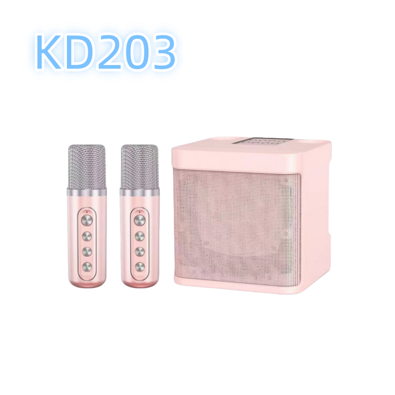 Outdoor DJ Microphone Speaker Factory - Reasonable Price Portable Party