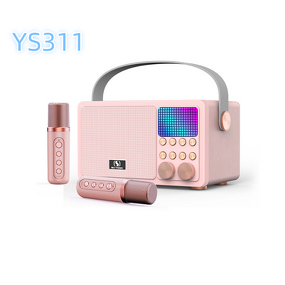 Outdoor Microphone Speaker Factory - High Quality Wholesale Portable DJ Ys311