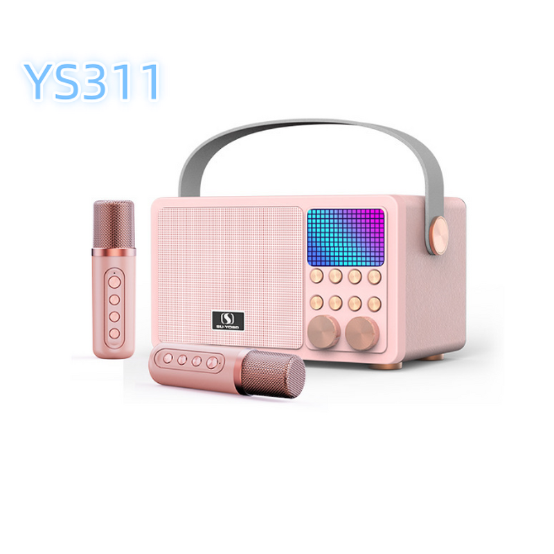 Outdoor Microphone Speaker Factory - High Quality Wholesale Portable DJ Ys311