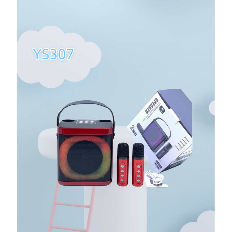 Wireless Microphone Speaker Factory - Hot Sale Portable Party Speaker