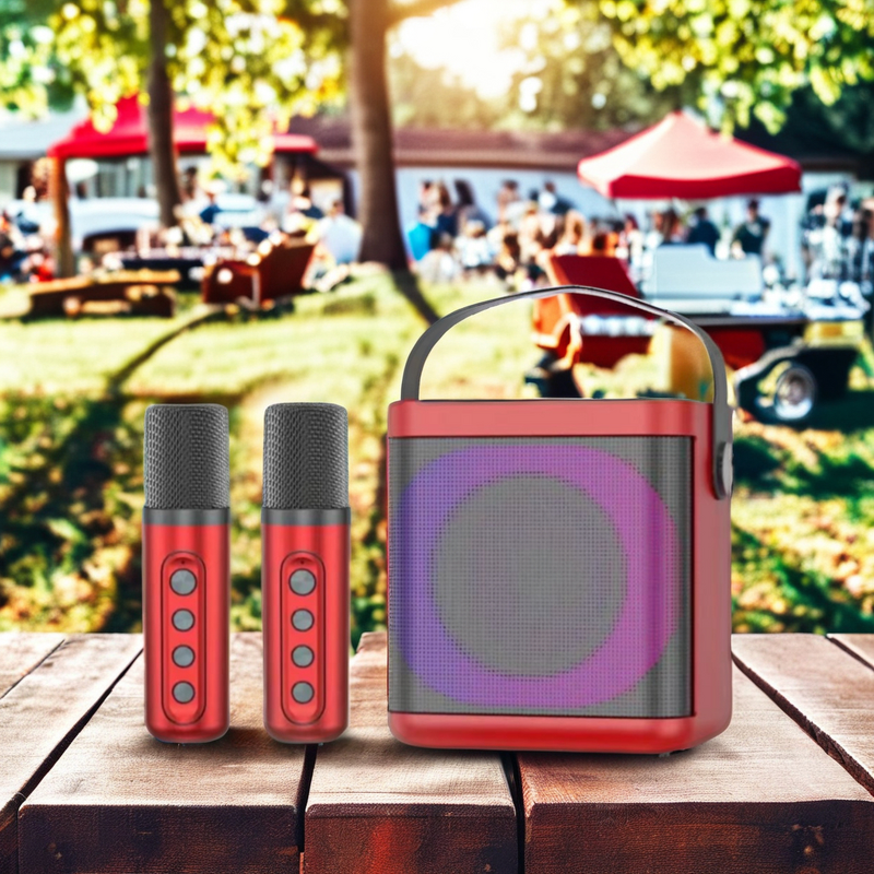 Wireless Microphone Speaker Factory - Hot Sale Portable Party Speaker