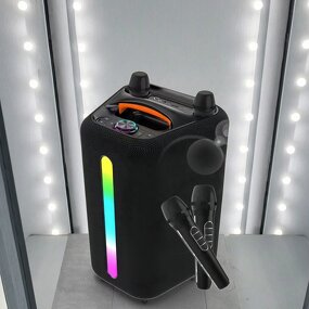 Portable Outdoor Speaker Factory - OEM 6.5inch Wireless 2 Mic Karaoke DJ