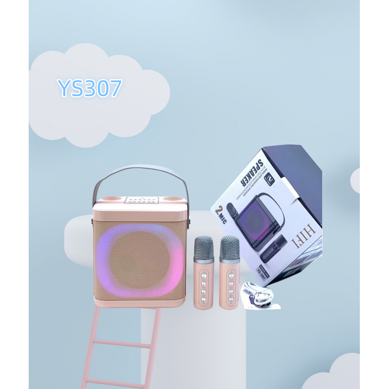 Wireless Microphone Speaker Factory - Hot Sale Portable Party Speaker